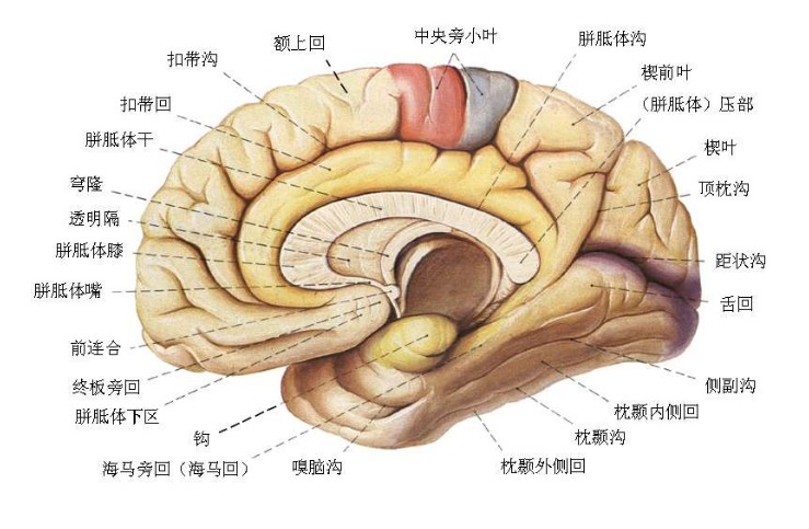 晋江无痛人流病医院