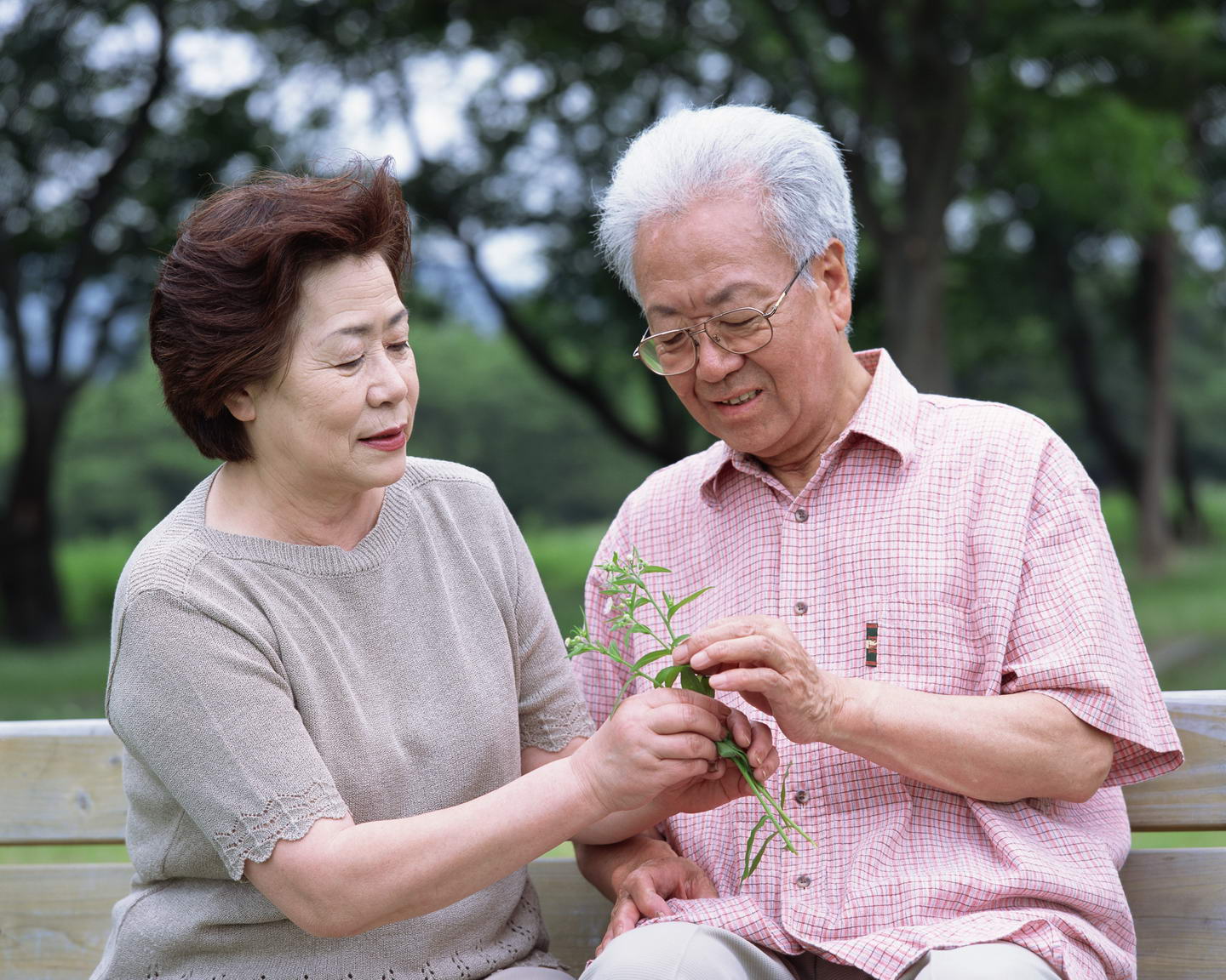 脑外伤无痛人流需要注意什么