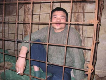 羊羔疯保养