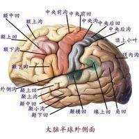 脑外伤引起的无痛人流病可以治愈吗